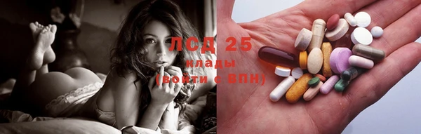 PSILOCYBIN Медногорск