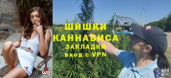 PSILOCYBIN Медногорск