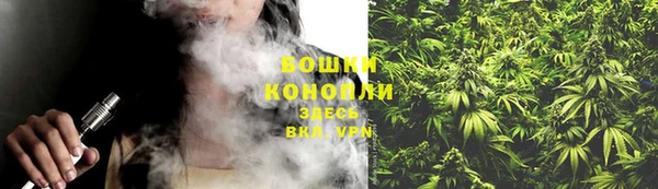 PSILOCYBIN Медногорск
