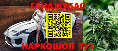 индика Ирбит