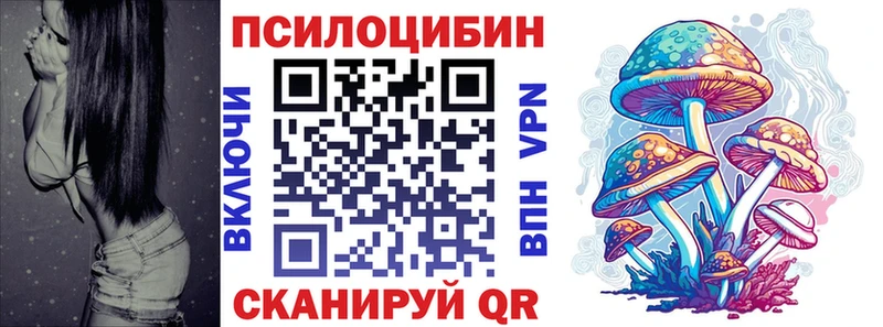omg маркетплейс  Павлово  Псилоцибиновые грибы мицелий 