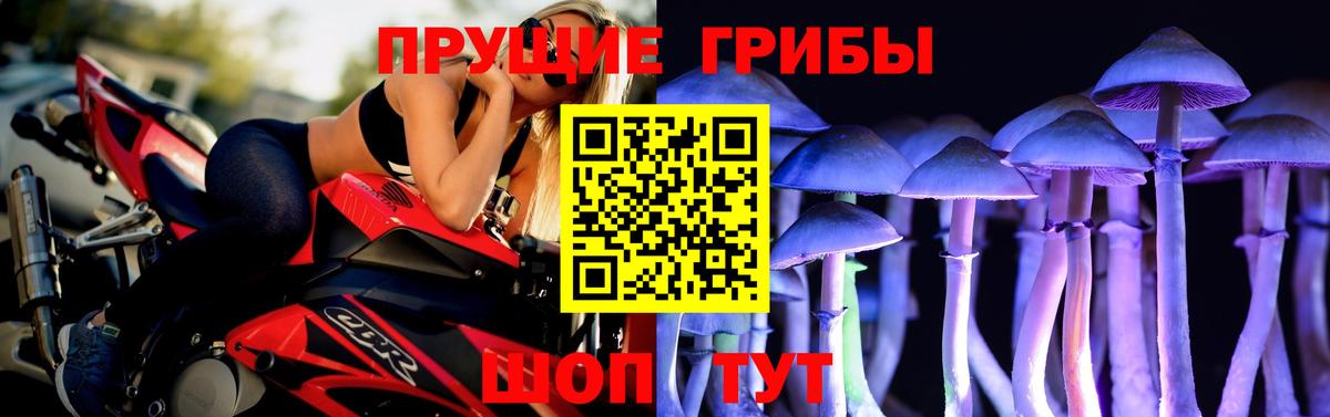 Павлово  Псилоцибиновые грибы мицелий  Вход с VPN 